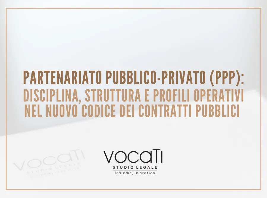 partenariato pubblico-privato (ppp)